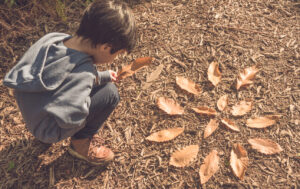 Child playing with leaves - Childcare Consultant in Sydney